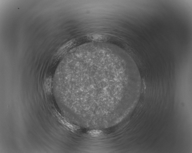 X0000085000189200704021343