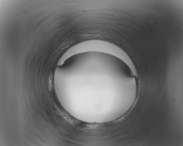 X0000085000190200704021343