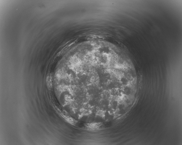 X0000085000191200704021343