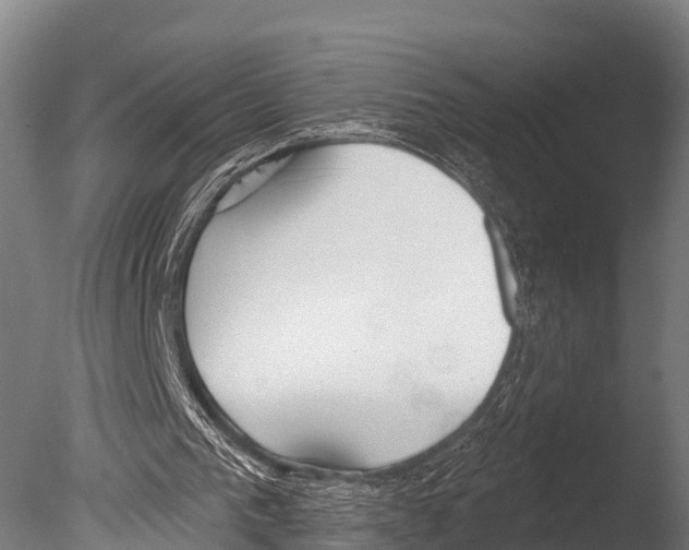 X0000085000193200704021343