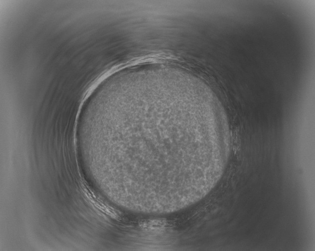 X0000085000196200704021343