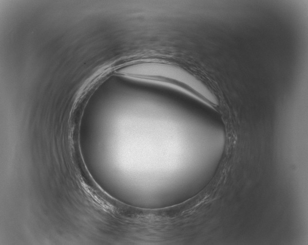 X0000085000197200704021343