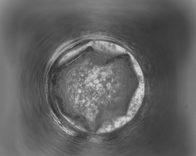 X0000085000199200704021342