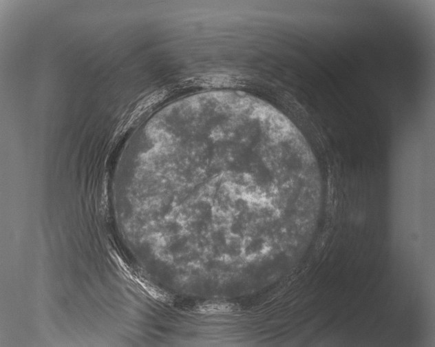 X0000085000202200704021342