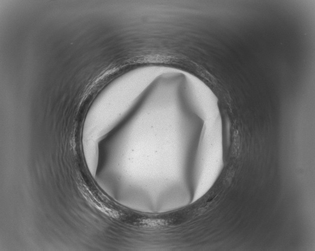 X0000085000203200704021342