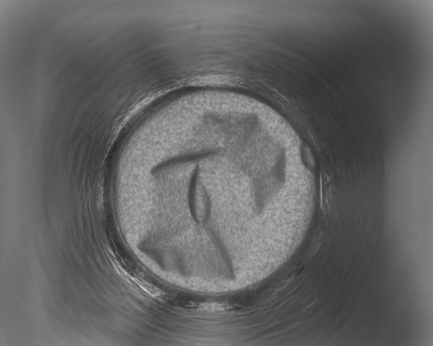 X0000085000204200704021342