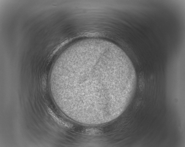 X0000085000208200704021342