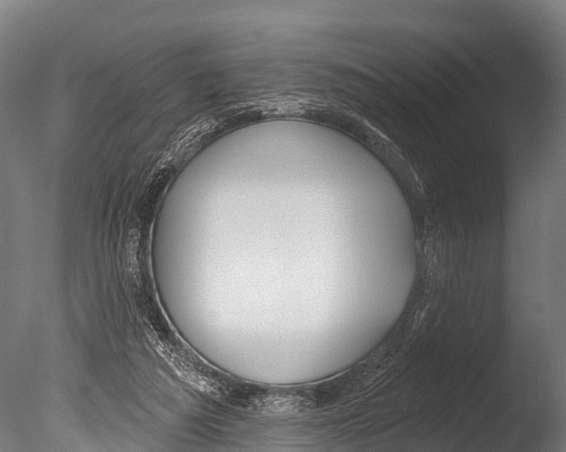 X0000085000209200704021342