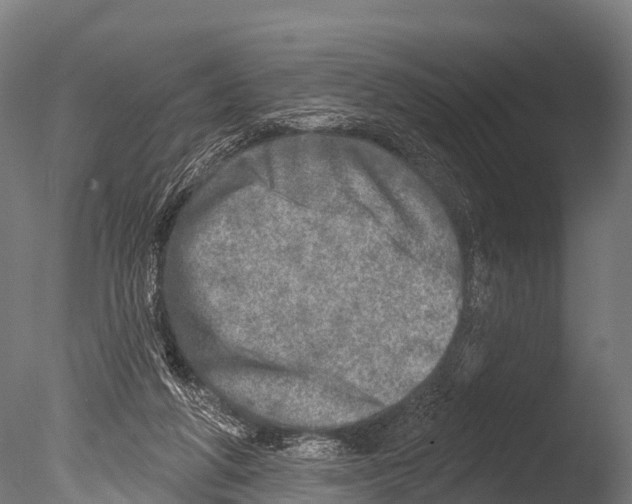 X0000085000210200704021342