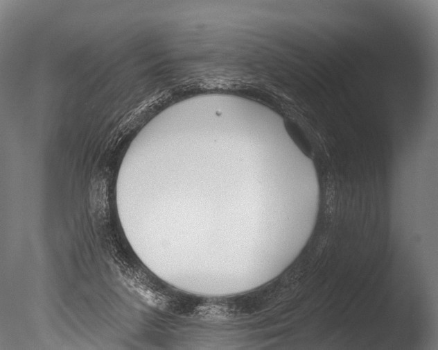 X0000085000211200704021342