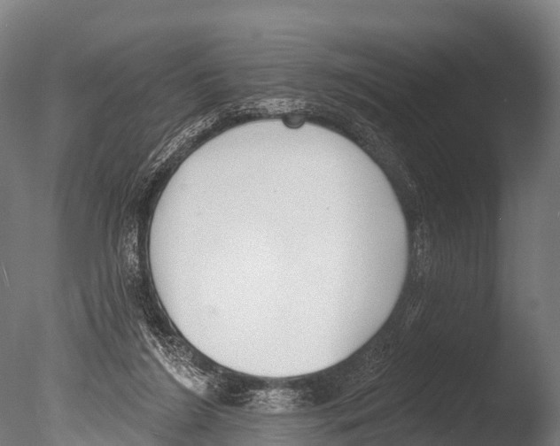 X0000085000212200704021342