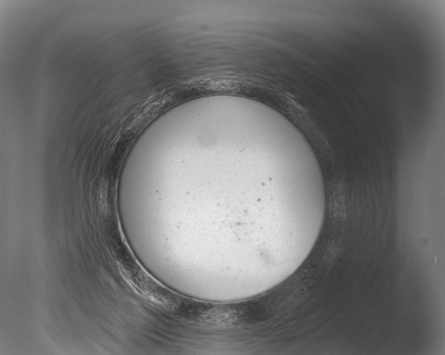 X0000085000213200704021342