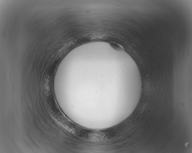 X0000085000215200704021342