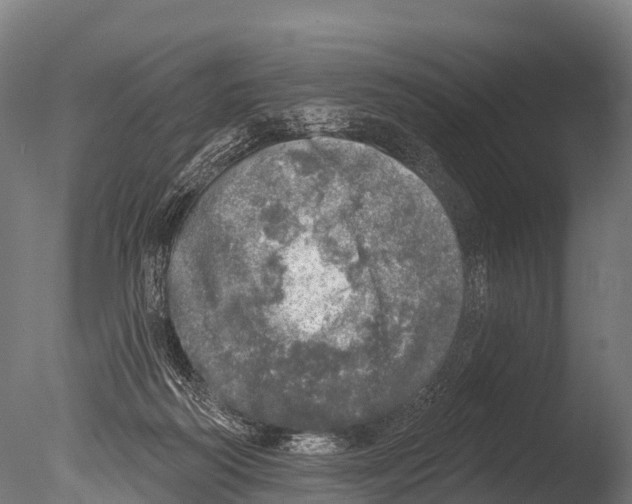 X0000085000218200704021342