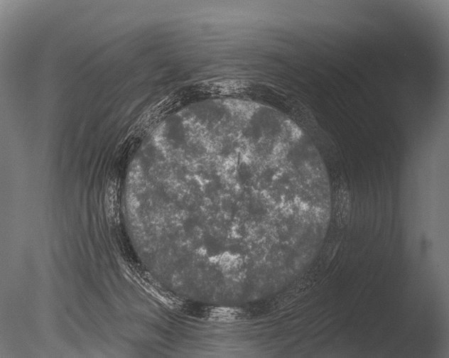 X0000085000222200704021342