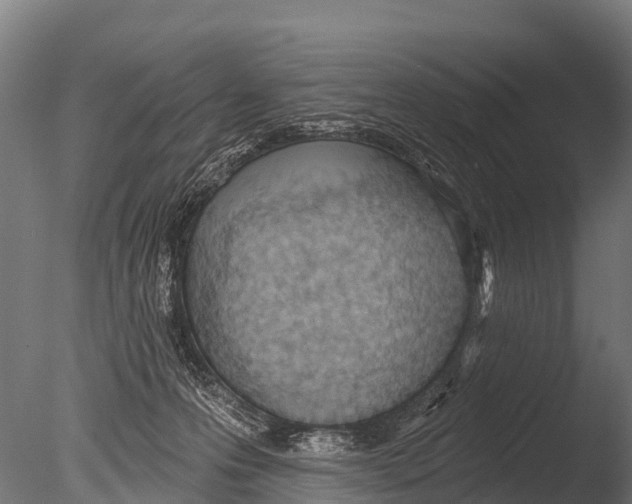 X0000085000223200704021342