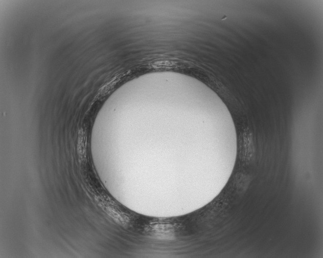 X0000085000228200704021342