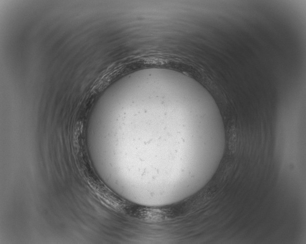 X0000085000229200704021342