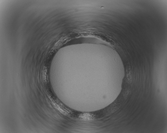 X0000085000231200704021342