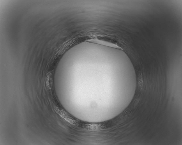 X0000085000233200704021342