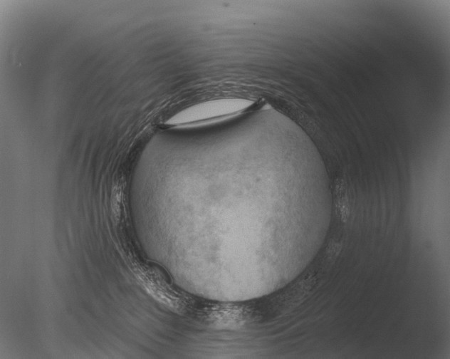 X0000085000235200704021342