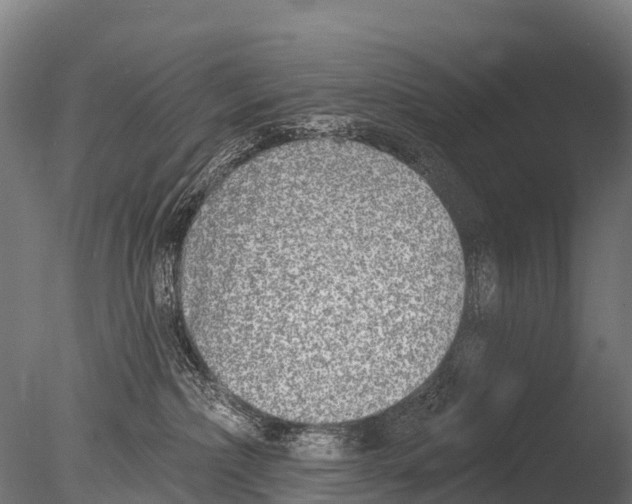 X0000085000236200704021342