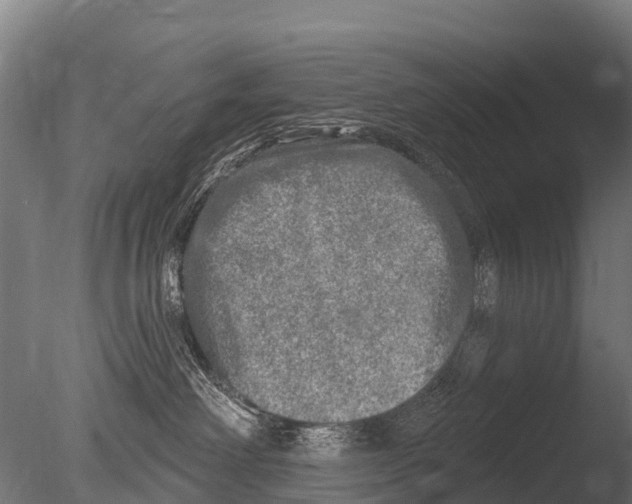 X0000085000238200704021342