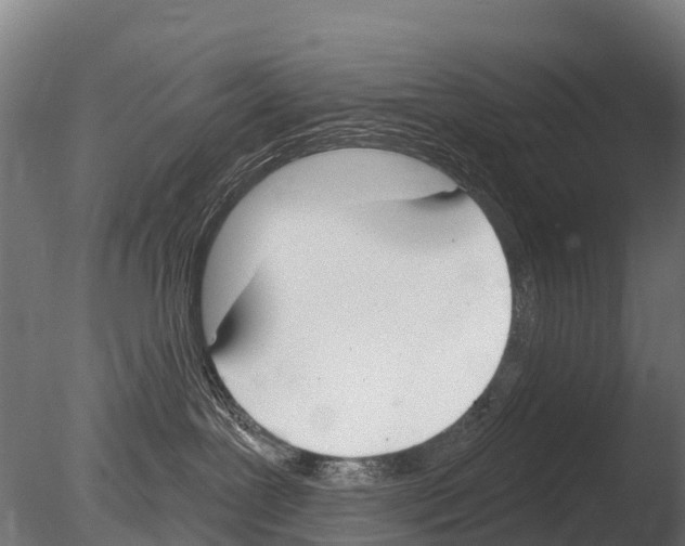 X0000085000239200704021342