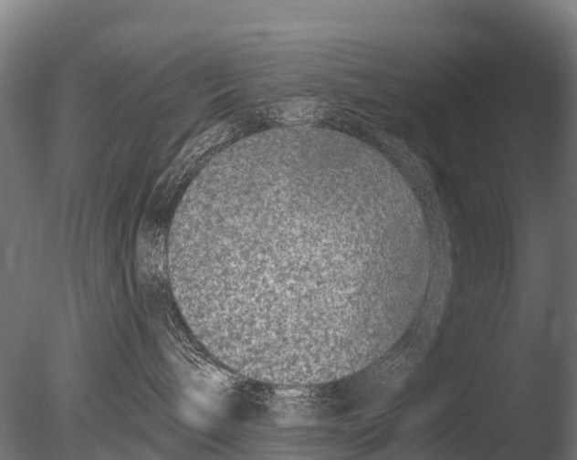 X0000085000240200704021342