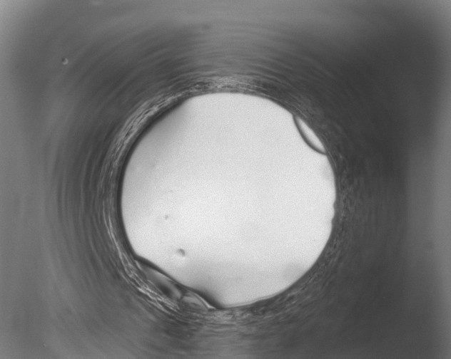 X0000085000241200704021341