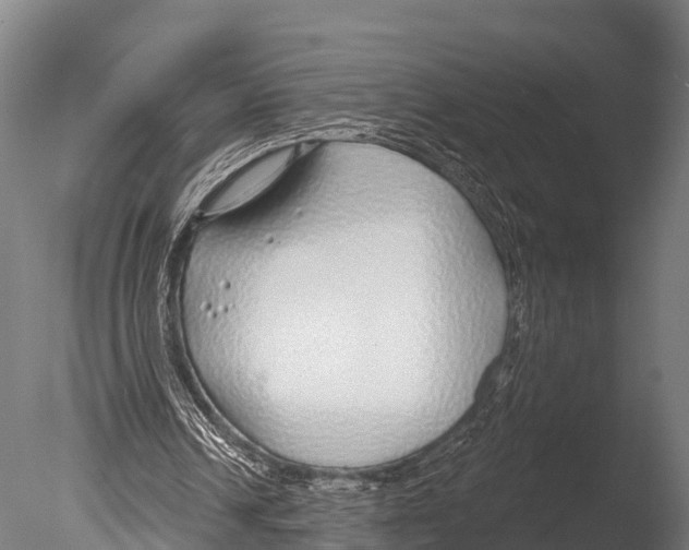 X0000085000242200704021341