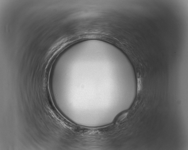 X0000085000243200704021341