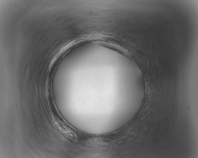 X0000085000244200704021341