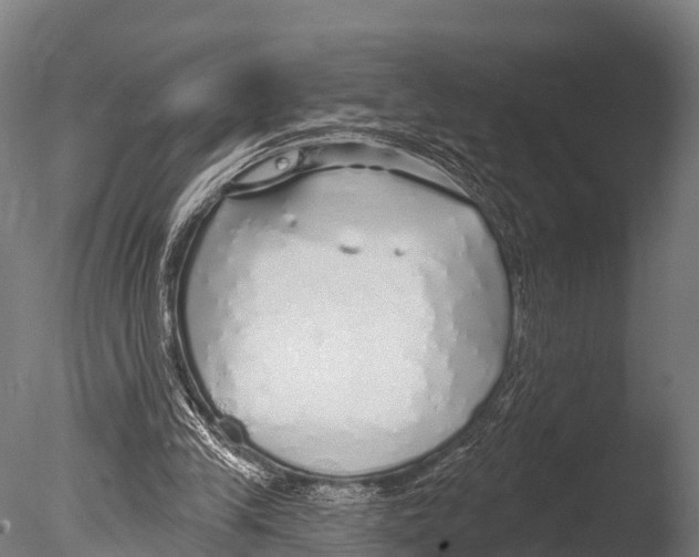 X0000085000245200704021341