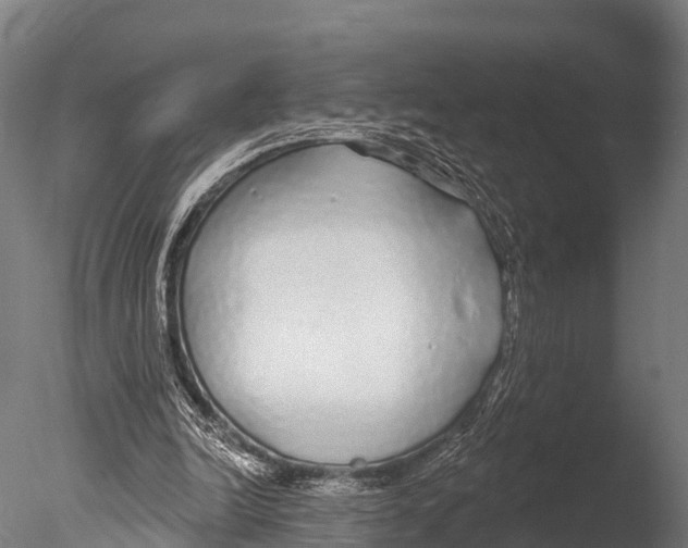 X0000085000246200704021341