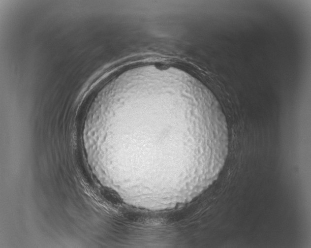 X0000085000247200704021341