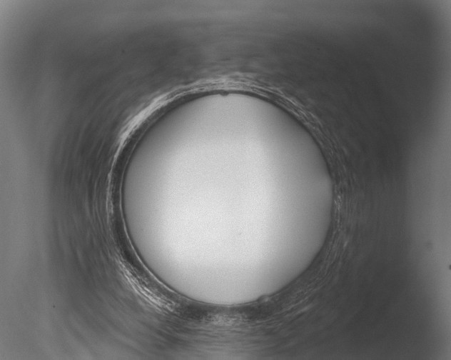 X0000085000248200704021341