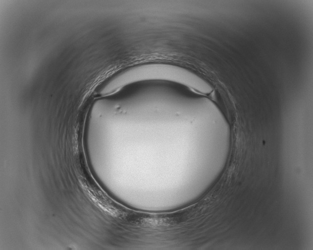 X0000085000250200704021341