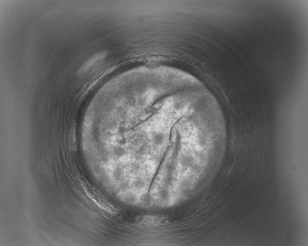 X0000085000251200704021341