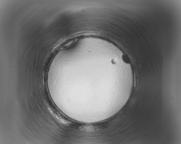 X0000085000253200704021341