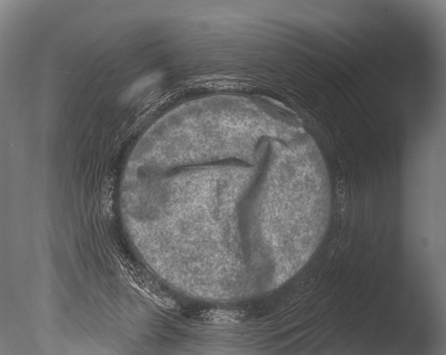 X0000085000255200704021341