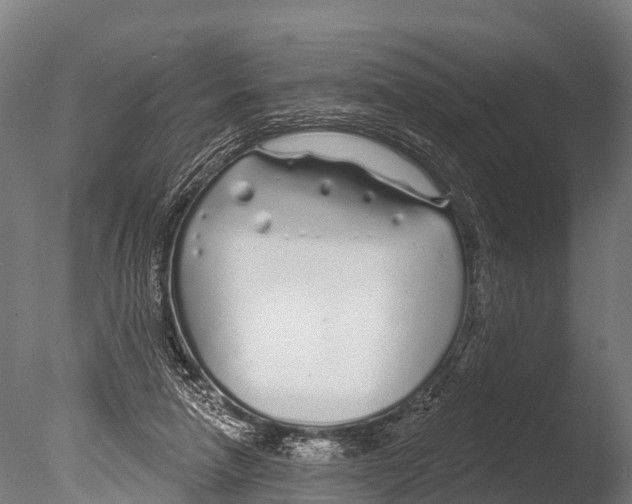 X0000085000258200704021341