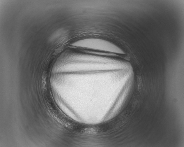 X0000085000259200704021341