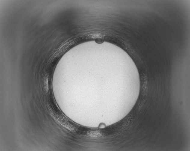 X0000085000262200704021341