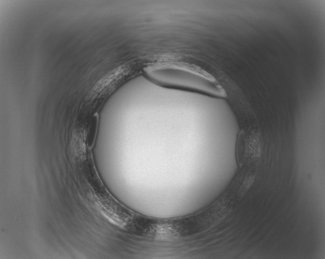 X0000085000264200704021341