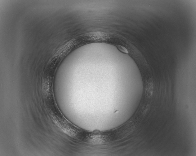 X0000085000268200704021341