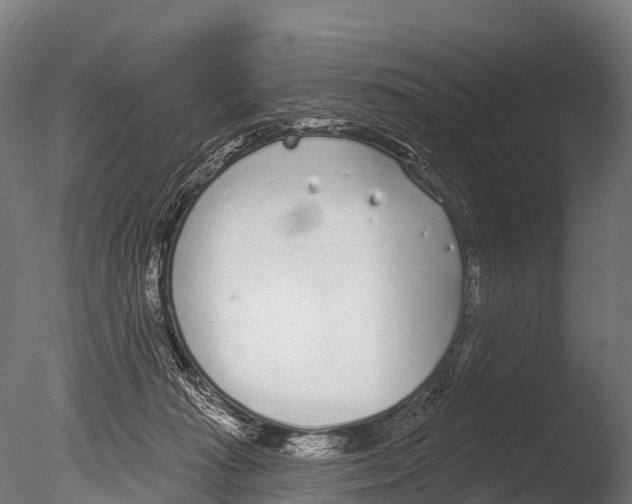 X0000085000269200704021341