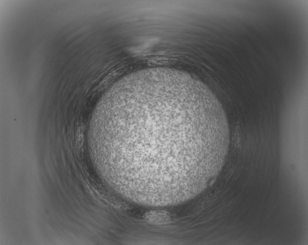 X0000085000271200704021341