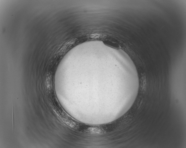 X0000085000272200704021341