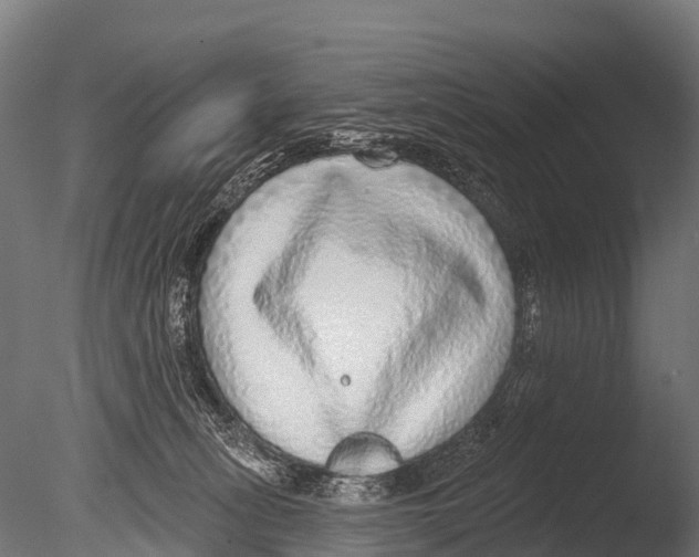 X0000085000275200704021342